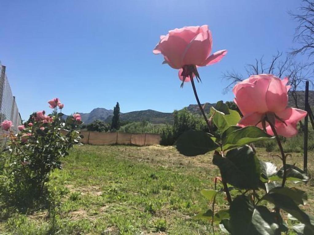Casa Rural La Maestra รอนดา ภายนอก รูปภาพ
